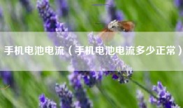 手机电池电流（手机电池电流多少正常）