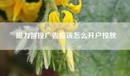 磁力智投广告应该怎么开户投放
