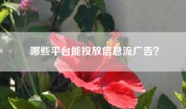 哪些平台能投放信息流广告？