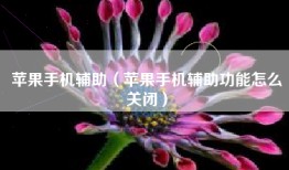 苹果手机辅助（苹果手机辅助功能怎么关闭）