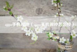 oppo手机闹钟（oppo手机闹钟怎么换）
