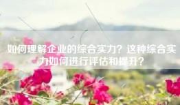 如何理解企业的综合实力？这种综合实力如何进行评估和提升？