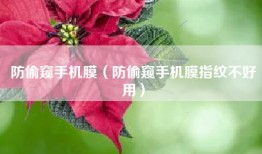 防偷窥手机膜（防偷窥手机膜指纹不好用）
