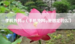 手机外网ip（手机外网ip是固定的么）