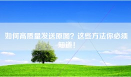 如何高质量发送原图？这些方法你必须知道！