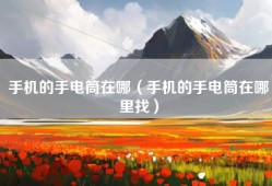 手机的手电筒在哪（手机的手电筒在哪里找）