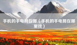 手机的手电筒在哪（手机的手电筒在哪里找）
