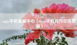 oppo手机客服中心（oppo手机官方在线客服）
