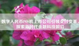 数字人民币POS机上市公司引领支付变革，探索新时代金融科技前沿