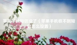 苹果手机短信没了（苹果手机收不到短信怎么设置）