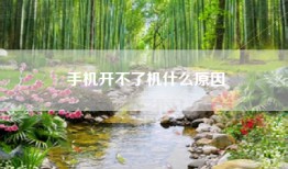 手机开不了机什么原因