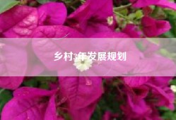 乡村3年发展规划