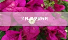 乡村3年发展规划