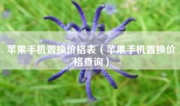 苹果手机置换价格表（苹果手机置换价格查询）