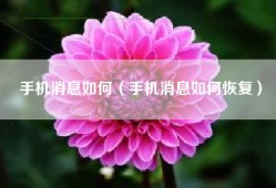 手机消息如何（手机消息如何恢复）