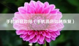 手机消息如何（手机消息如何恢复）
