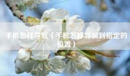 手机怎样导航（手机怎样导航到指定的位置）