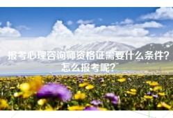 报考心理咨询师资格证需要什么条件？怎么报考呢？