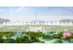 手机已连接不可上网（手机突然无法连接网络）