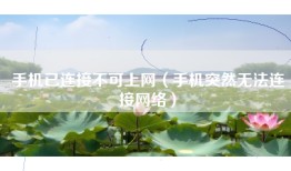 手机已连接不可上网（手机突然无法连接网络）