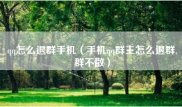 qq怎么退群手机（手机qq群主怎么退群,群不散）