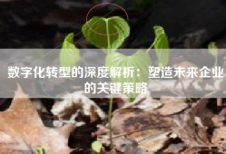 数字化转型的深度解析：塑造未来企业的关键策略
