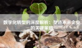 数字化转型的深度解析：塑造未来企业的关键策略