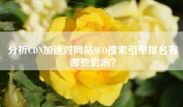 分析CDN加速对网站SEO搜索引擎排名有哪些影响？