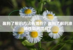盈利了解的方法有哪些？盈利了解的准确性如何提高？