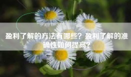 盈利了解的方法有哪些？盈利了解的准确性如何提高？