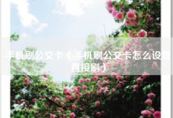 手机刷公交卡（手机刷公交卡怎么设置直接刷）