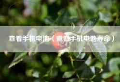 查看手机电池（查看手机电池寿命）