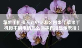 苹果手机接不到电话怎么回事（苹果手机接不到电话怎么回事直接显示未接）