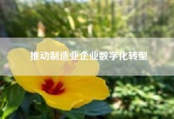 推动制造业企业数字化转型