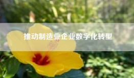 推动制造业企业数字化转型