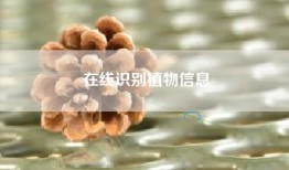 在线识别植物信息