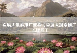 百度大搜索推广流程（百度大搜索推广流程图）