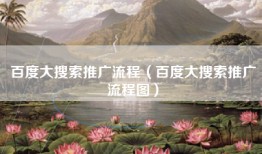 百度大搜索推广流程（百度大搜索推广流程图）