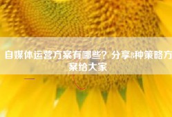 自媒体运营方案有哪些？分享8种策略方案给大家