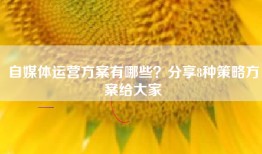 自媒体运营方案有哪些？分享8种策略方案给大家