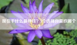 现在干什么最挣钱？5个选择你喜欢哪个？