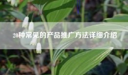 20种常见的产品推广方法详细介绍