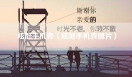 炫酷手机壳（炫酷手机壳图片）