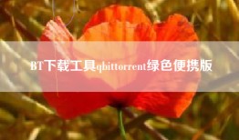 BT下载工具qbittorrent绿色便携版