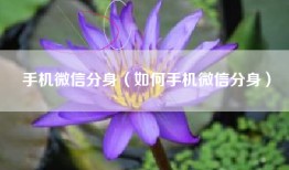 手机微信分身（如何手机微信分身）