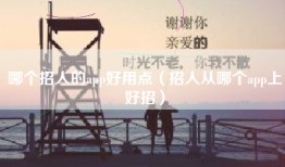 哪个招人的app好用点（招人从哪个app上好招）