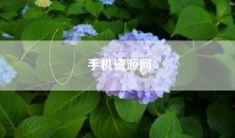手机资源网