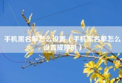 手机黑名单怎么设置（手机黑名单怎么设置成停机）