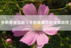 手机电视互联（手机电视互联投屏软件）