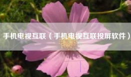 手机电视互联（手机电视互联投屏软件）